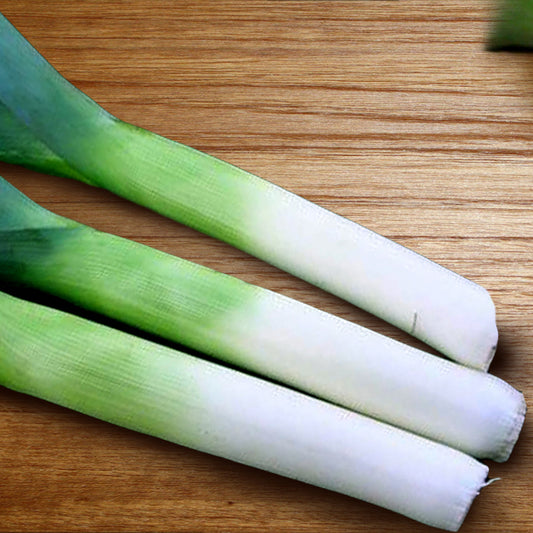 Leek Onion
